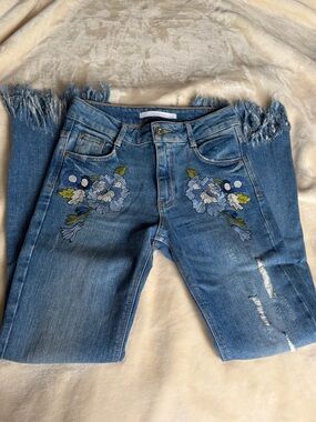 Zara Embroidered Flower Fringe Jeans